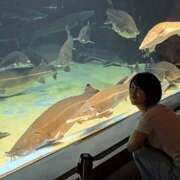 ヒメ日記 2025/06/12 11:45 投稿 イナ バイオレンス