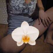 ヒメ日記 2025/06/18 11:07 投稿 イナ バイオレンス