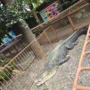 ヒメ日記 2025/09/25 15:35 投稿 イナ バイオレンス