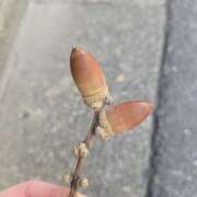 ヒメ日記 2025/09/28 15:45 投稿 イナ バイオレンス