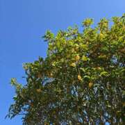 ヒメ日記 2025/10/02 23:05 投稿 イナ バイオレンス