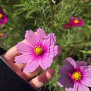 ヒメ日記 2025/10/12 12:25 投稿 イナ バイオレンス