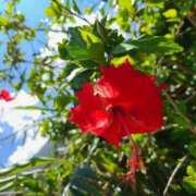 ヒメ日記 2025/10/31 13:15 投稿 イナ バイオレンス