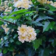 ヒメ日記 2025/11/12 13:05 投稿 イナ バイオレンス