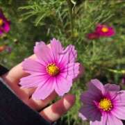 ヒメ日記 2025/11/21 16:49 投稿 イナ バイオレンス