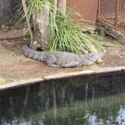 ヒメ日記 2025/12/02 15:29 投稿 イナ バイオレンス