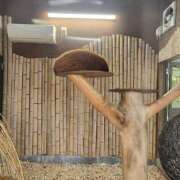 ヒメ日記 2025/12/04 10:55 投稿 イナ バイオレンス