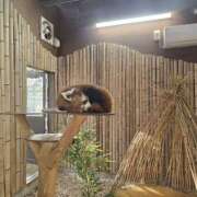 ヒメ日記 2025/12/04 11:05 投稿 イナ バイオレンス