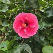 ヒメ日記 2025/12/10 14:07 投稿 イナ バイオレンス