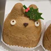 ヒメ日記 2025/12/23 12:55 投稿 イナ バイオレンス