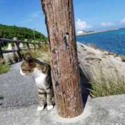 ヒメ日記 2025/12/27 01:45 投稿 イナ バイオレンス