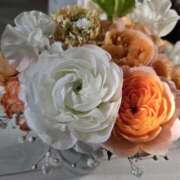 ヒメ日記 2026/02/16 12:25 投稿 イナ バイオレンス