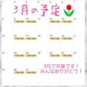 ヒメ日記 2026/02/24 12:35 投稿 イナ バイオレンス