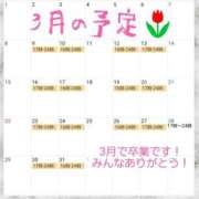 イナ 【空き枠情報】 バイオレンス