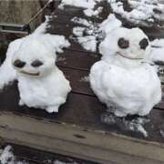 ヒメ日記 2026/03/05 10:55 投稿 イナ バイオレンス