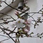 ヒメ日記 2026/03/18 22:45 投稿 イナ バイオレンス