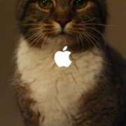 ヒメ日記 2025/09/25 04:51 投稿 猫村　こねこ OL精薬