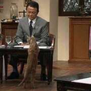 ヒメ日記 2025/09/26 03:30 投稿 猫村　こねこ OL精薬