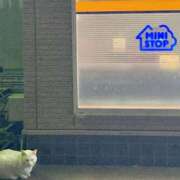 ヒメ日記 2025/10/24 21:33 投稿 猫村　こねこ OL精薬