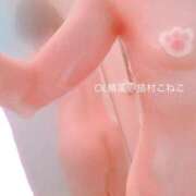 ヒメ日記 2025/10/31 18:48 投稿 猫村　こねこ OL精薬