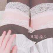 猫村　こねこ みんにゃ🐱 OL精薬