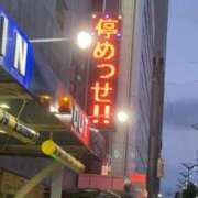 ヒメ日記 2026/06/29 19:15 投稿 猫村　こねこ OL精薬