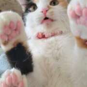 ヒメ日記 2025/01/12 08:48 投稿 女神　うの OL精薬