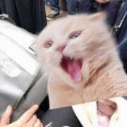 ヒメ日記 2025/02/24 19:48 投稿 女神　うの OL精薬