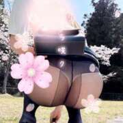 ヒメ日記 2025/04/12 20:03 投稿 女神　うの OL精薬