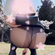 ヒメ日記 2025/04/15 12:48 投稿 女神　うの OL精薬