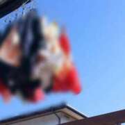 ヒメ日記 2025/05/23 08:21 投稿 女神　うの OL精薬