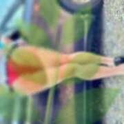 ヒメ日記 2025/06/06 15:06 投稿 女神　うの OL精薬