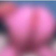 ヒメ日記 2025/06/11 21:06 投稿 女神　うの OL精薬