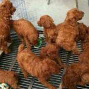 ヒメ日記 2025/07/07 21:18 投稿 女神　うの OL精薬