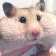 ヒメ日記 2025/07/30 19:06 投稿 女神　うの OL精薬