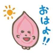 ヒメ日記 2025/09/17 06:18 投稿 女神　うの OL精薬