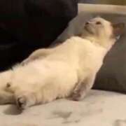 ヒメ日記 2025/09/23 15:36 投稿 女神　うの OL精薬