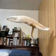 ヒメ日記 2025/10/09 22:33 投稿 女神　うの OL精薬