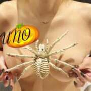 ヒメ日記 2025/10/31 10:33 投稿 女神　うの OL精薬