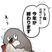 ヒメ日記 2025/11/13 15:03 投稿 女神　うの OL精薬