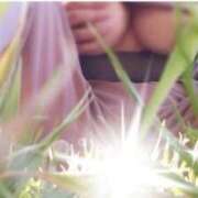 ヒメ日記 2025/11/23 15:09 投稿 女神　うの OL精薬