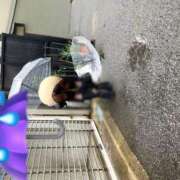ヒメ日記 2026/06/26 09:25 投稿 女神　うの OL精薬