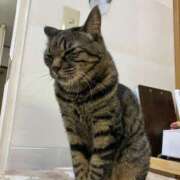 ヒメ日記 2024/12/15 01:12 投稿 河美　ひらり OL精薬