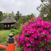 ヒメ日記 2024/12/23 01:18 投稿 河美　ひらり OL精薬