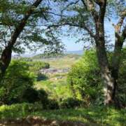 ヒメ日記 2024/12/26 02:06 投稿 河美　ひらり OL精薬