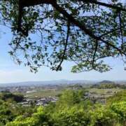 ヒメ日記 2024/12/29 01:33 投稿 河美　ひらり OL精薬