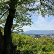 ヒメ日記 2024/12/29 02:27 投稿 河美　ひらり OL精薬