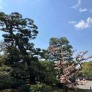 ヒメ日記 2024/12/30 01:18 投稿 河美　ひらり OL精薬