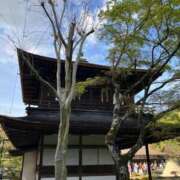 ヒメ日記 2025/01/20 02:06 投稿 河美　ひらり OL精薬