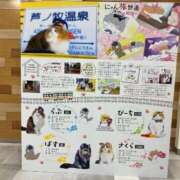 ヒメ日記 2025/01/25 01:27 投稿 河美　ひらり OL精薬